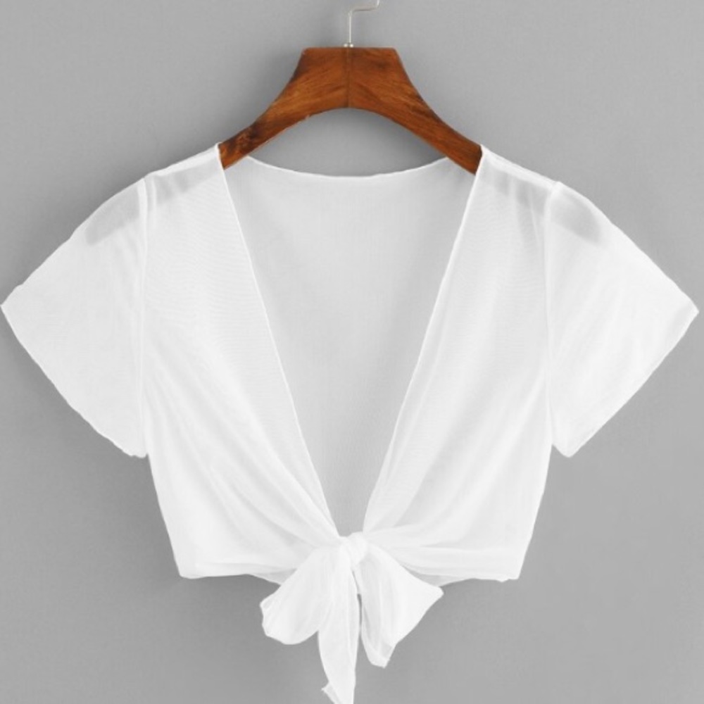 Mesh Shein crop top